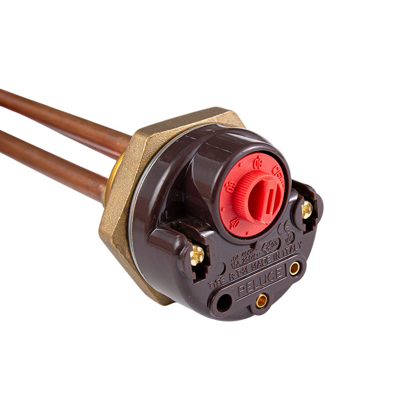 FP-545 1500W/2000W electric water heater heating element with thermostat