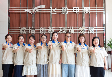 Danyang Feipeng Electrical Appliance Co., Ltd.